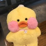 [드루와] 나 낼 <b>증명</b>사진 찍으러 가는데