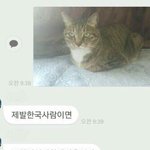 [댓글부탁해] 영화추천좀!!!!!!!!!!!! ㅈㅂ!!!!!!!