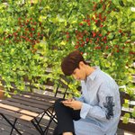 [댓글부탁해] <b>캐럿</b>들아 빨리  드루와바