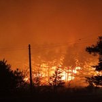 [속보] 강원 고성 인근<b>주민</b> 420명 대피중