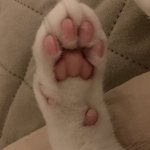 [추반파티] 못생긴 몸매좋은애vs예쁘고 몸매ㅂㄹ<b>인애</b>