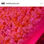 [백현] 백현 인스타