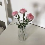 [댓글부탁해] 너희 학교는 <b>개학</b> 공지 뜸??