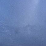 [아이<b>스멜</b>팅] 얘들아 환경 신경좀 써줘