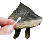 판에서 찐따 얘기 나오면 꼭 이 레파토<b>리임</b>