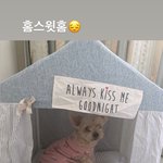 [EXO] 밑에애가 말티쥬 얘기하니까 생각나는