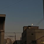 [댓글부탁해] <b>임종</b> 직전에 마지막으로 실종 신고를