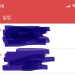 [댓글부탁해] 뭐야 나 갑자기 2개 <b>베</b><b>플</b> 됐음