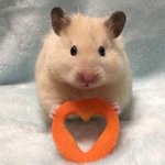 [댓글부탁해] 혐주의 ) <b>쌍수</b> 2일찬데 <b>라인</b>좀봐줘 ㅠㅠㅠㅠ