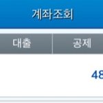 [댓글부탁해] 서른살 4800만원 모은건요