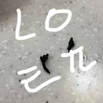 [댓글부탁해] 팔도 비빔면에서 <b>미역</b> 말린 거 나옴