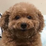 헐 틱톡에 <b>전지영</b>있잖아