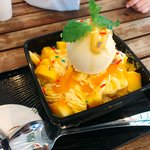 부정선거 <b>포착</b>