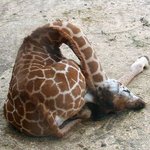 알바하는 애들아 <b>실수</b>하면 무슨생각 들어?