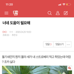 [EXO] 얘들아 제발 도와주라 내 <b>딸기</b> 새가 또먹었다