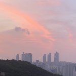 [드루와] 오늘 해뜰<b>때</b> 찍은 <b>사진</b> 자랑할게 개 이뻐 ㅠ