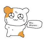 [드루와] 니네 mbti 어떤 식으로 바뀜?