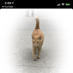 <b>이런</b> <b>사진</b> 편집?보정 어케함 ㅠㅠㅠ