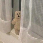[모두드루와] 니네 10대<b>판도</b>함?