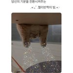 똥 쌌는데도 배 <b>아파</b>