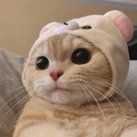 [댓글부탁해] 댓글에 <b>예언</b>하고 가봐