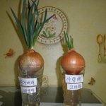 [댓글부탁해] 너넨 가족 모임 <b>나가</b> ??