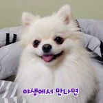 [댓글부탁해] 솔직히 인터넷도 나이<b>제한</b> 걸어야한다고봄