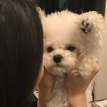 야 오늘 안먹고 <b>버틸</b> 수 있을까?