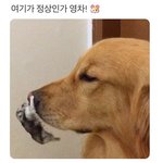 [드루와] <b>여름</b> 싫어하는 애들 특