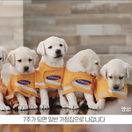 인생 씨<b>리얼</b> 추천좀 해줘 제발