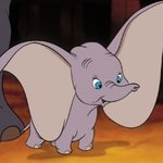 내 다이어트방법 ㅇㄸ??