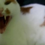 [댓글부탁해] 니네 에어컨 언제 <b>부터</b> 킬거야??