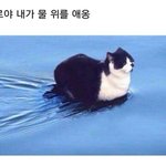 [댓글부탁해] <b>갈색</b> 입으면 분위기 오지네 나