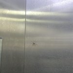 ㅆㅂ 나 <b>엘베</b>에서 기절할뻔했음
