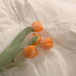 개학 5월 말 아니면 6월 초 <b>예상</b>