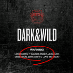 방탄소년단 앨범 탐구 및 곡 소개 ④ [DARK&amp;WILD] - 정규...