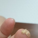 [댓글부탁해] 와 나 <b>배꼽</b>에서 <b>때</b> 팜!! 사진 있어