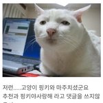 [19] 밖에서 누가 자꾸 <b>노크</b>하는데 어떡해..?