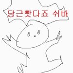 [드루와] 판 <b>규칙</b>은 누가 만든거임