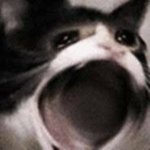 서씨 이름 추천해줘 개명하고싶은데ㅠㅠ