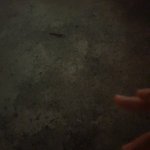 이 <b>사진</b> <b>담배</b> 피는거 같아?