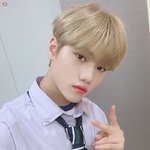 윈깅이 글 왤케 올라왕