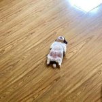 <b>유선호</b> 연기도 하넹