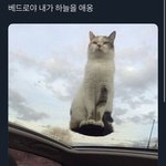 [댓글부탁해] 새삼스럽게 내 이름에 감사해진다..