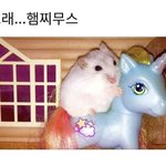 [댓글부탁해] 얘들아 <b>세지</b> 인강 추천좀