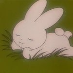 니네 신발 뭐신는지 적고가면 이상형이랑 <b>썸탐</b>ㅜㅜㅠ