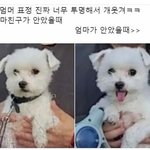 [19] 톡<b>투미</b> 봤는데