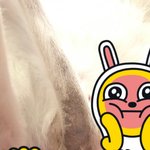 고양이 피부? 털? 뭐야이거?...