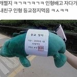 아니 우리학교 시험25일에 <b>본다</b>했는데