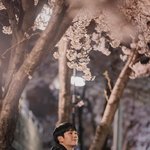 [드루와] <b>hoxy</b> 봄밤 본 애들 있니